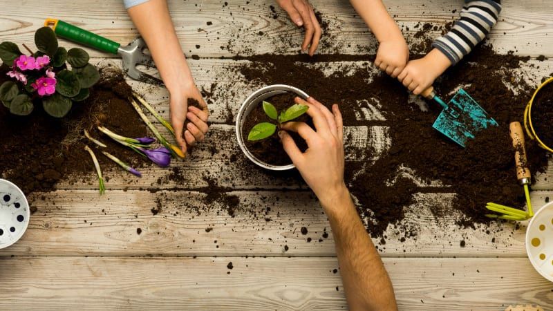 Kid's gardening and flower classes at Saplings Port Orange 