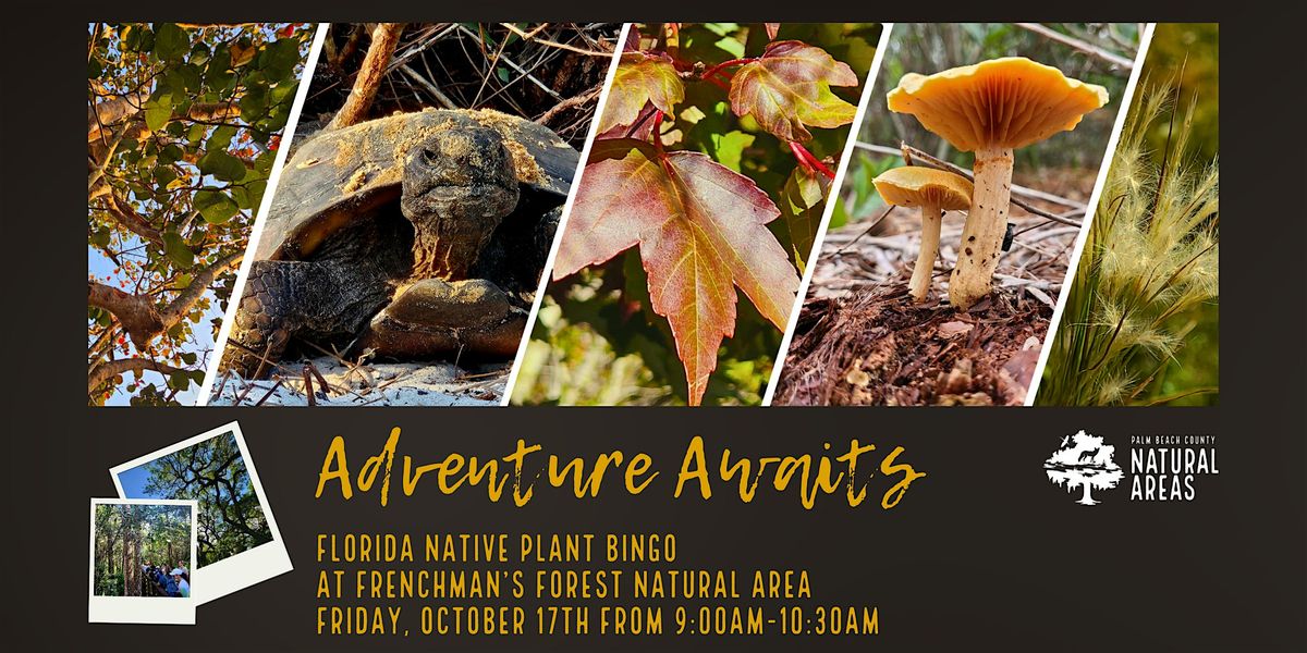 Adventure Awaits - Florida Native Plant Bingo @ Frenchman's Forest