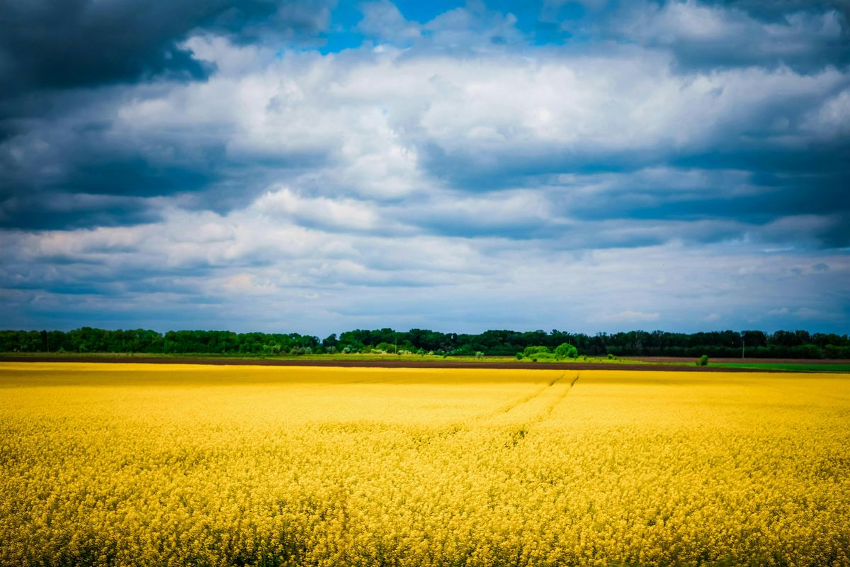 Situating Knowledge Production in\/about Ukraine
