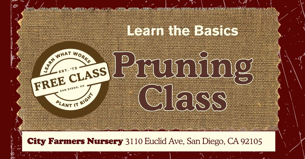 Pruning Class: Learn the Basics for SoCal Pruning