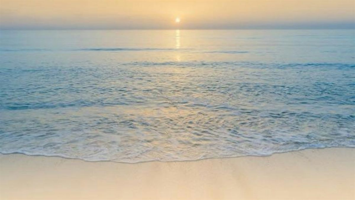 Meditating Minds: The Soul\u2019s Quiet Power