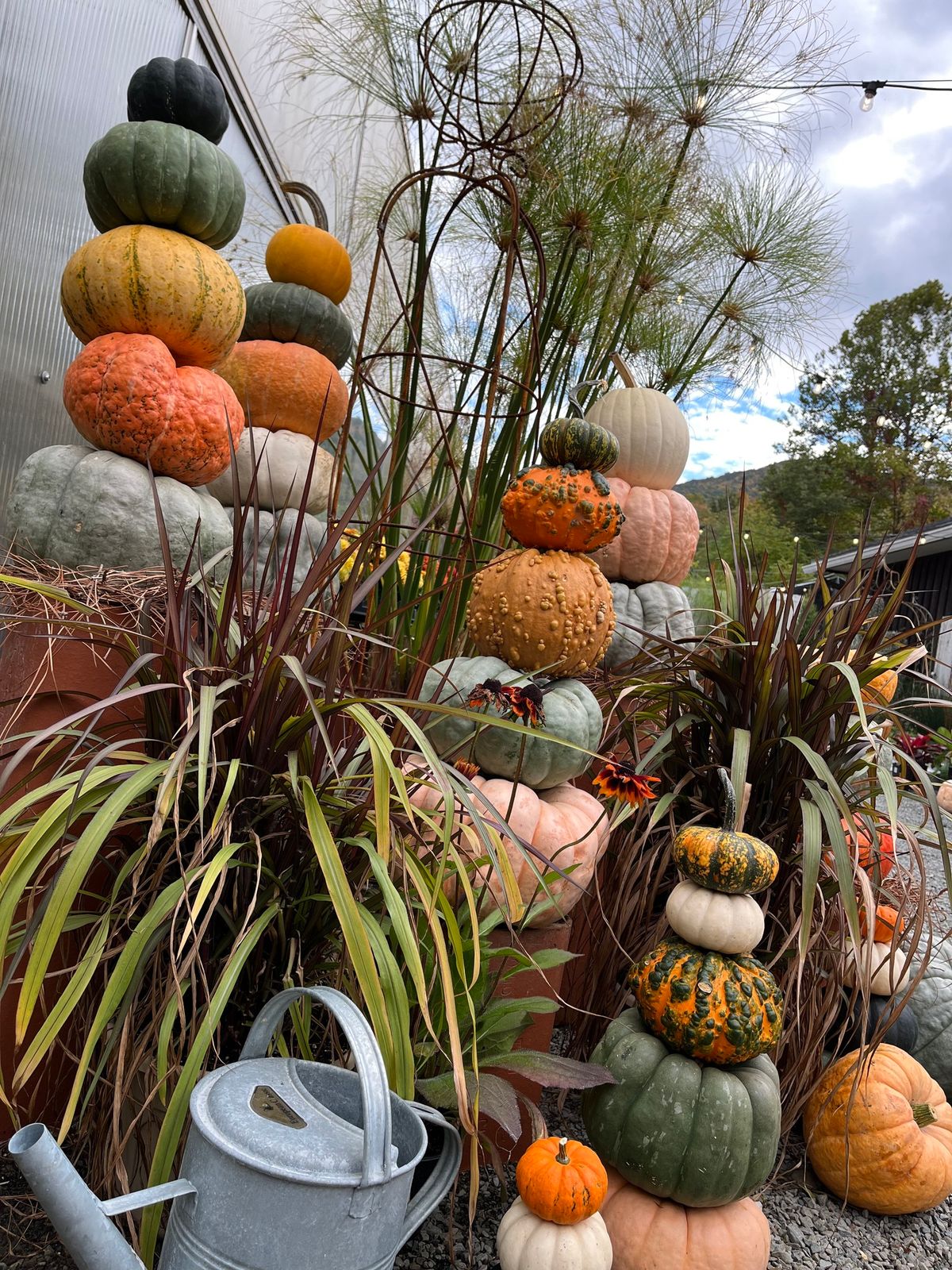 The Pumpkin Walk