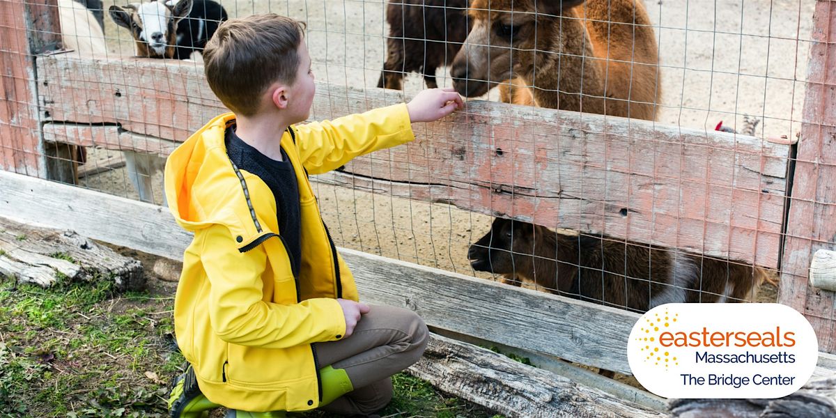 Animal Trackers: A Barnyard Adventure