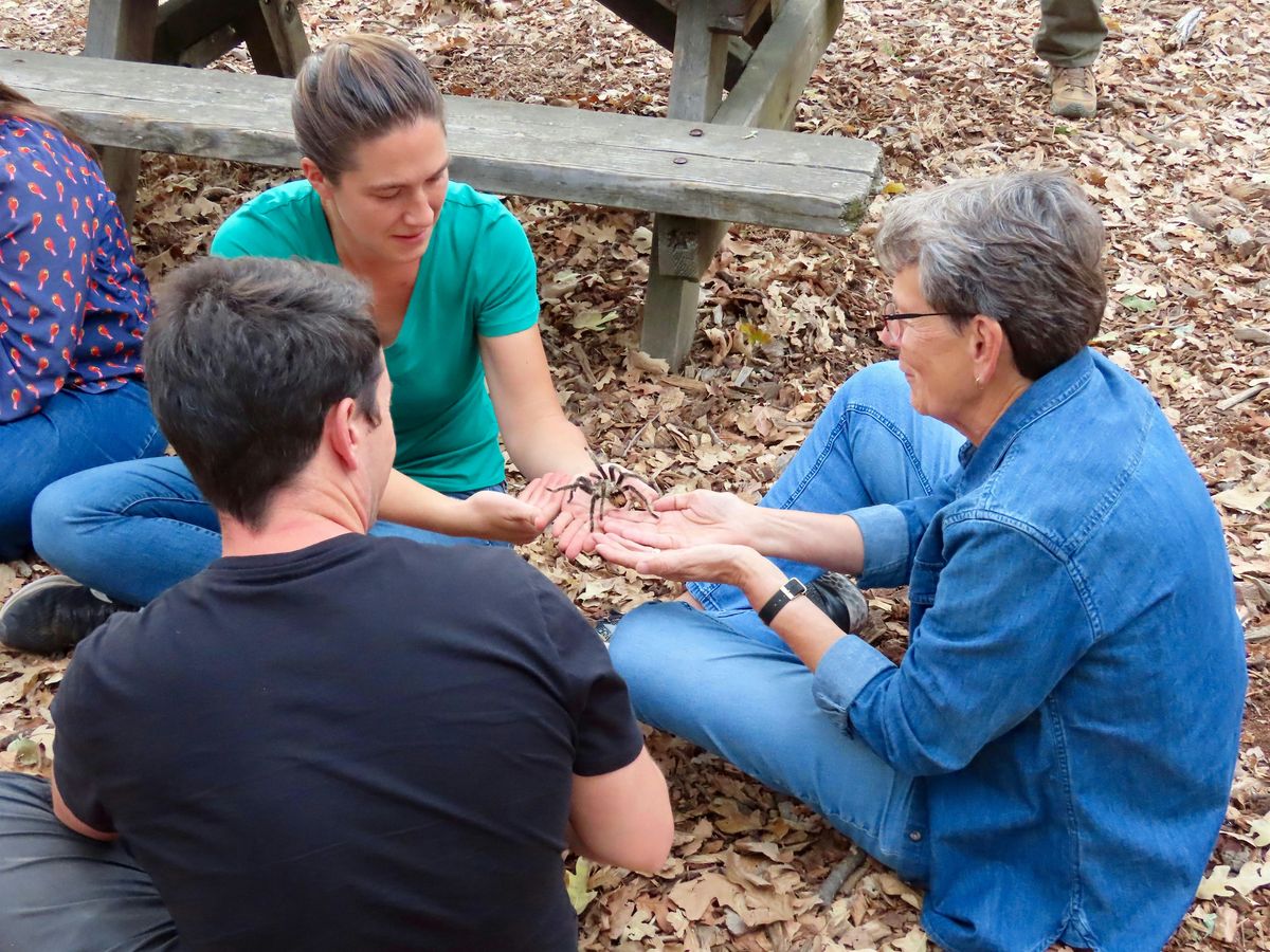 Tarantula Trek for Adults