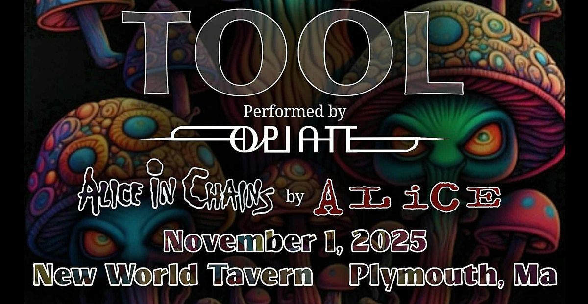 TOOL & AIC Tribute Night @ New World Tavern