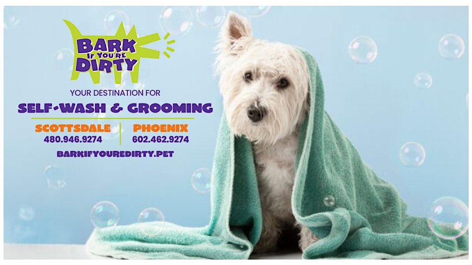 BARK IF YOURE DIRTY : WASH WEDNESDAYS