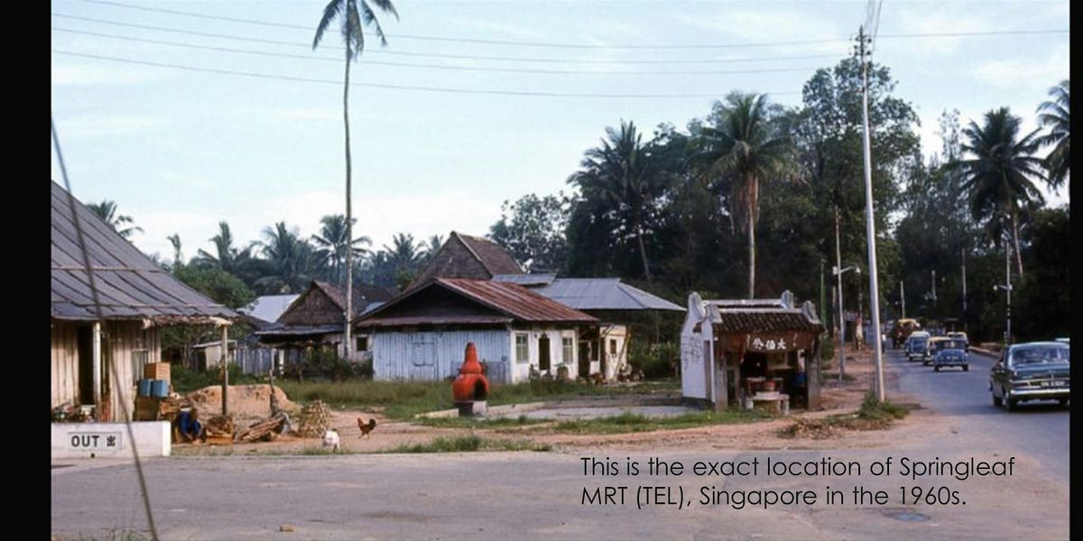 Nee Soon Village Walking Tour