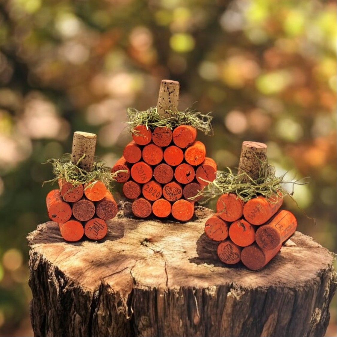 Lunch & Learn: Pumpkin Cork Craft with Desert Coastal Studios