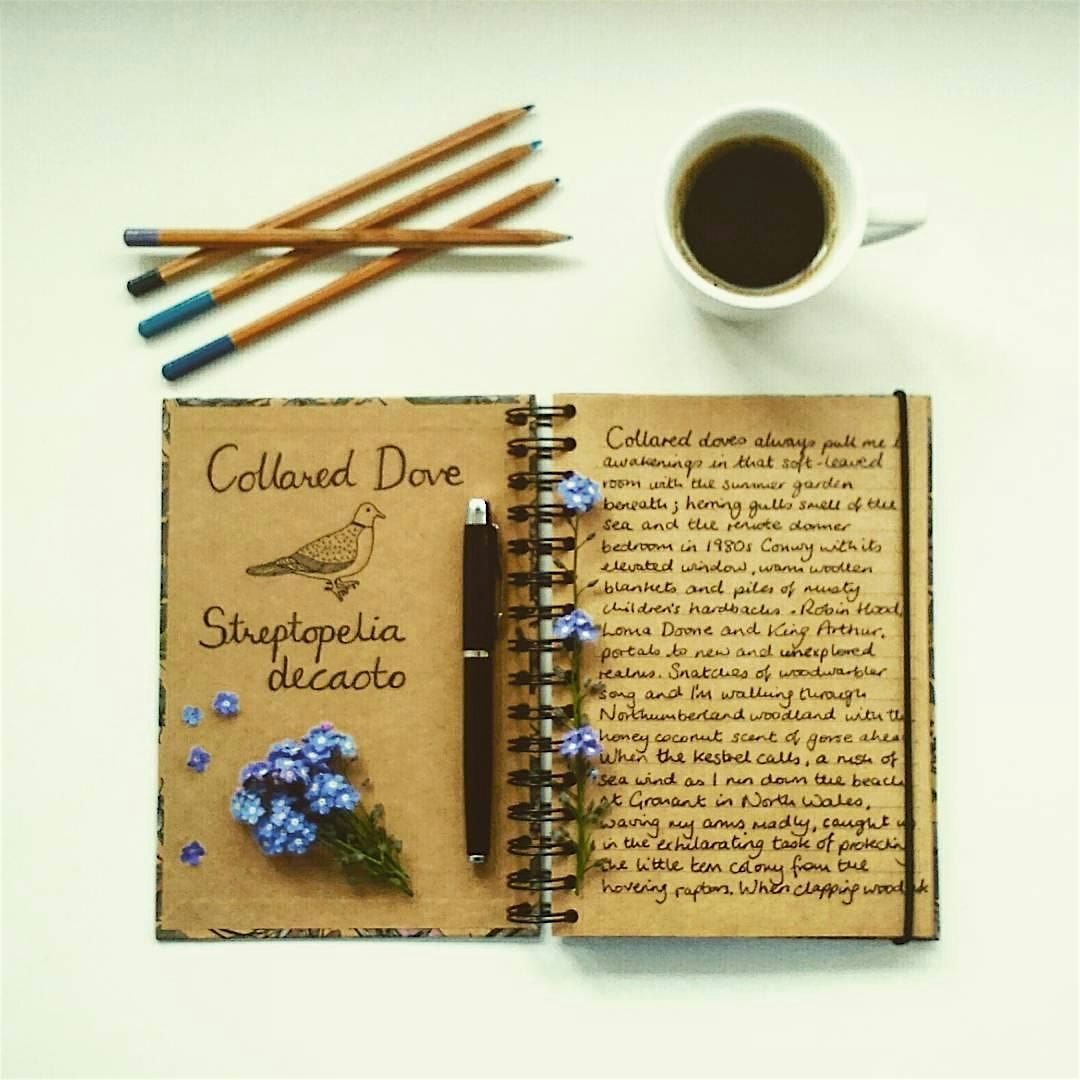 Introduction to Nature Writing with Nic - 27th February 2026 PP