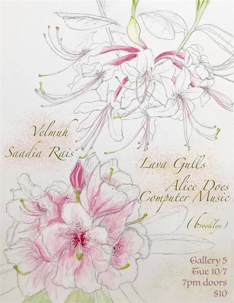 Velmuh, Saadia Rais, Alice Does Computer Music (NY), Lava Gulls (NY)