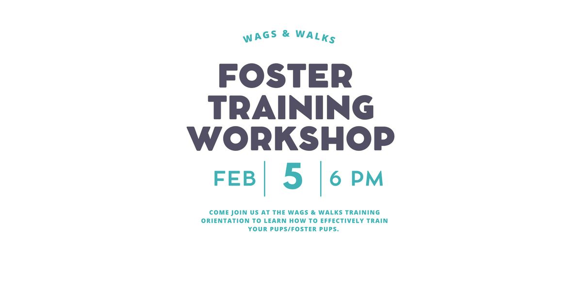 Wags & Walks Foster Training Workshop