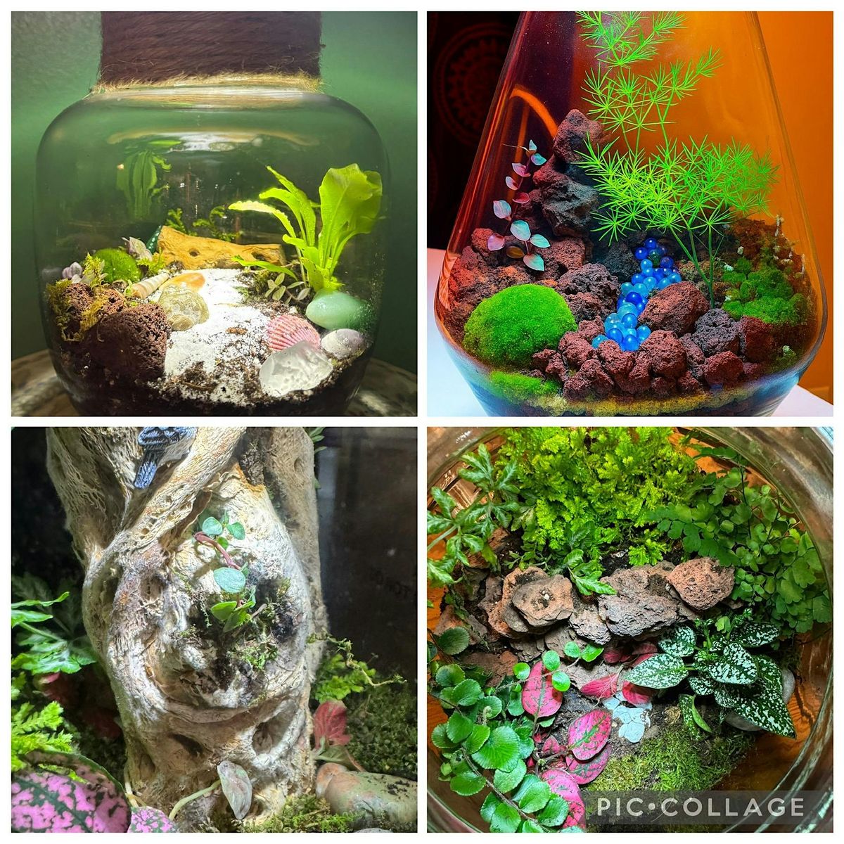 Tea & Terrariums with Gigi\u2019s Glass Gardens