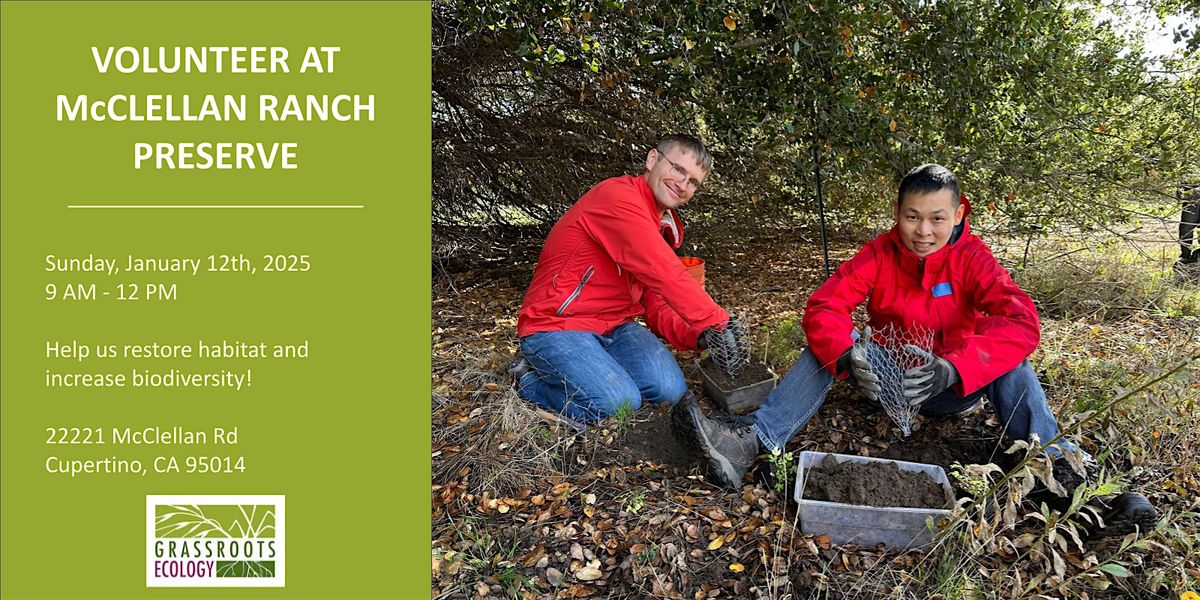 Nurture Nature: Volunteer Outdoors in Cupertino at McClellan Ranch Preserve