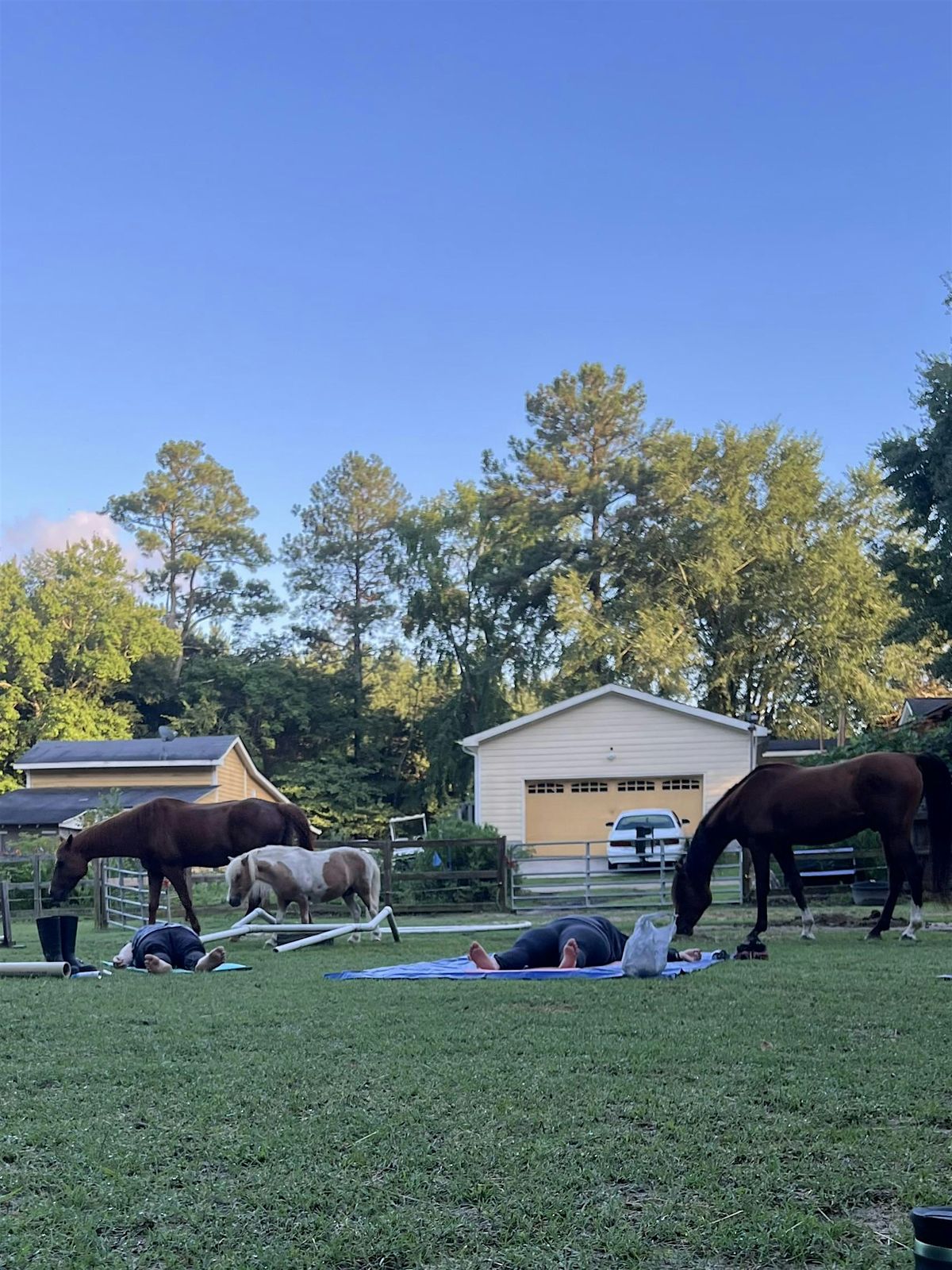 Stretching & Meditation at the Farm - Nov 2024