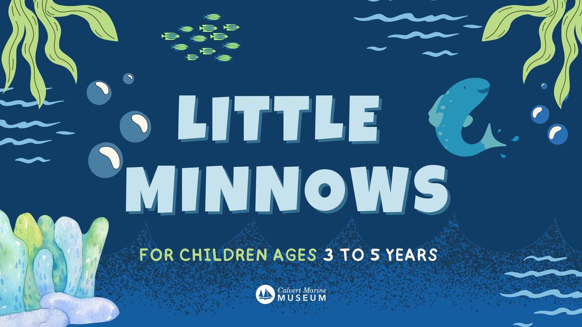 Little Minnows