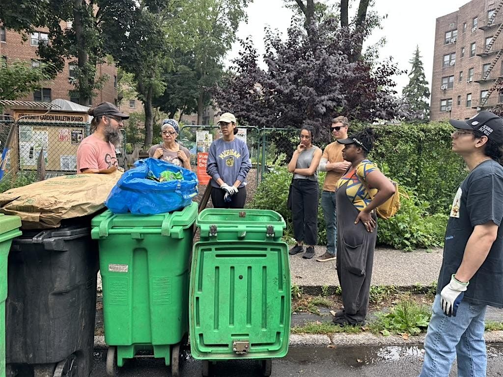 Street Tree Care w\/DPWNA and Ditmas Park