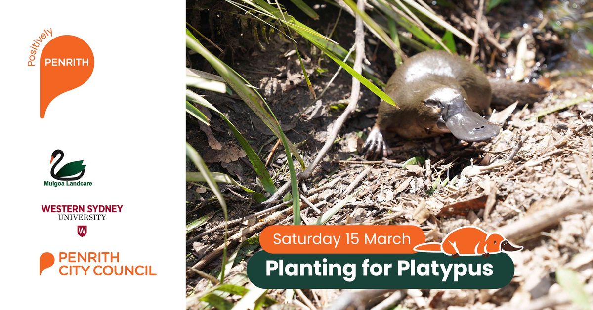 Planting for Platypus