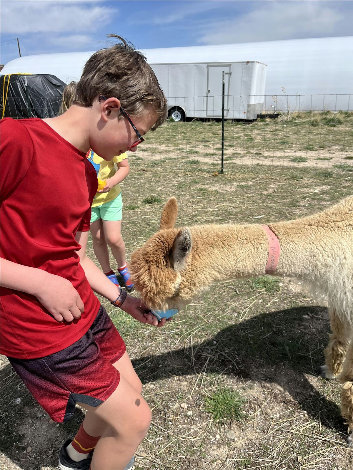 Alpaca Farm Tour