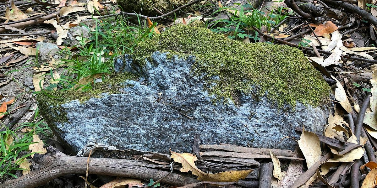 Rocks and Geology of Oakland's Castle Canyon