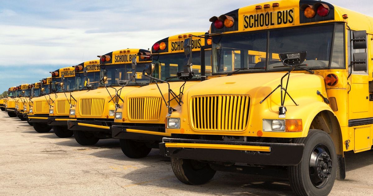 School Bus Driver Training