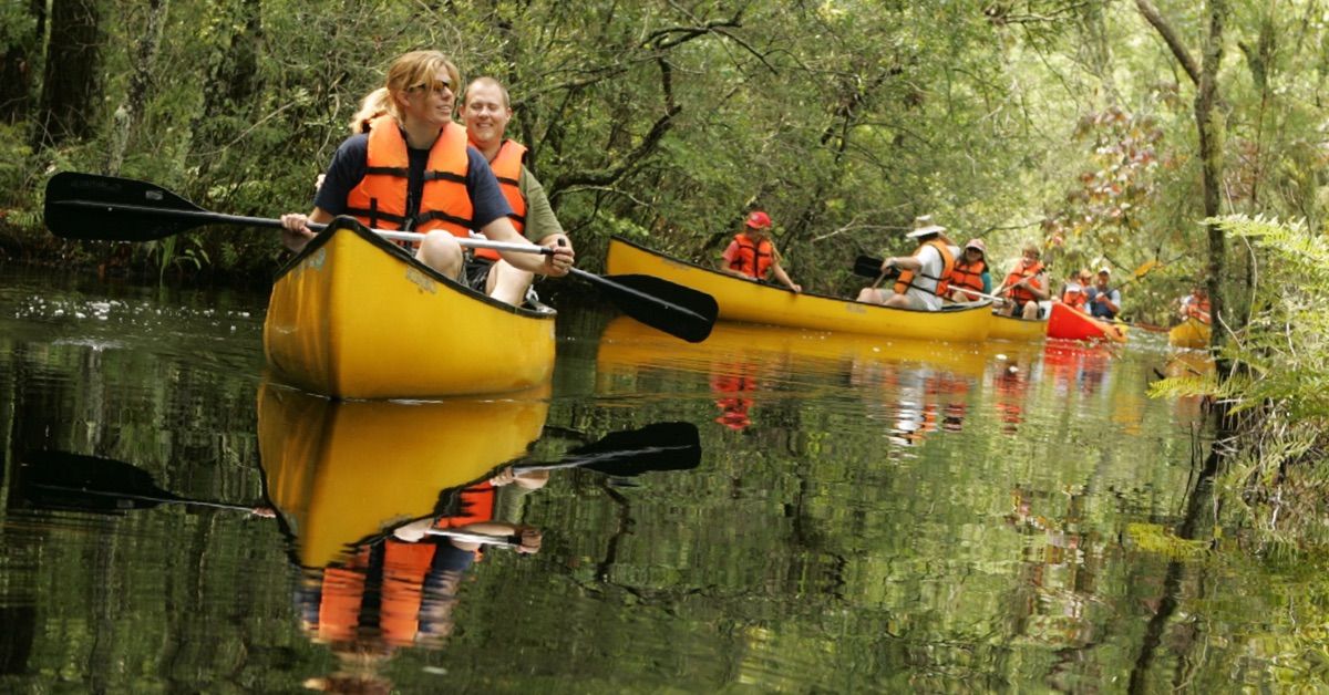 Elkhorn Creek Canoe Trip