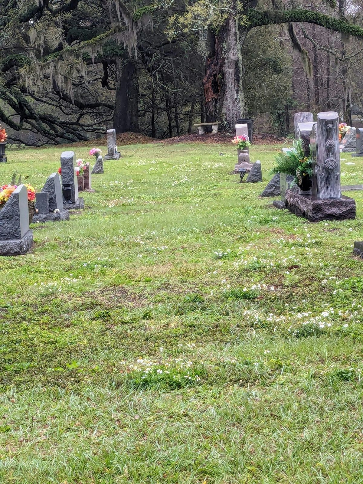 Pallida Mors Yoga & Meditation at Greenwood Cemetery Orlando