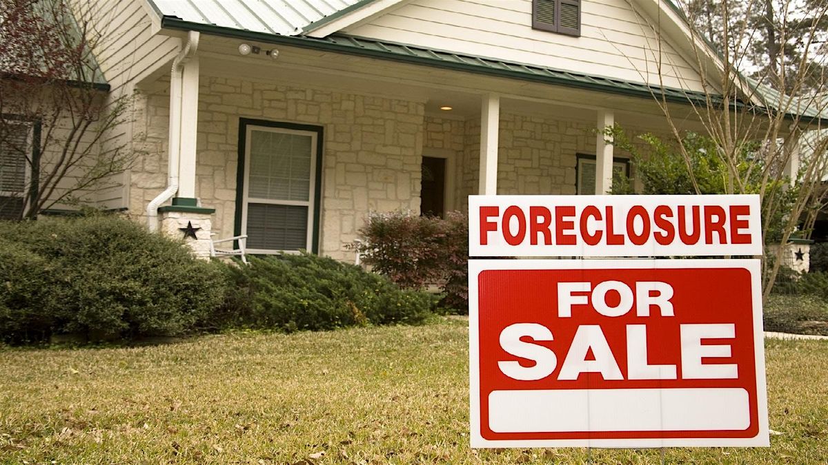 Navigating the Foreclosure Jungle~ Investing  Foreclosure Property Safely