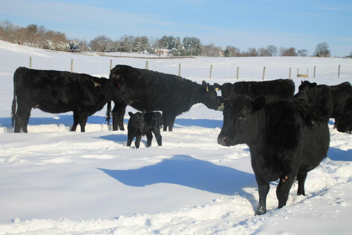 2025 Mountains-to-Bay Grazing Alliance Grazing Conference