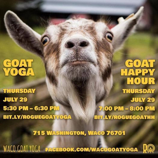 Goat Yoga and Happy Hour