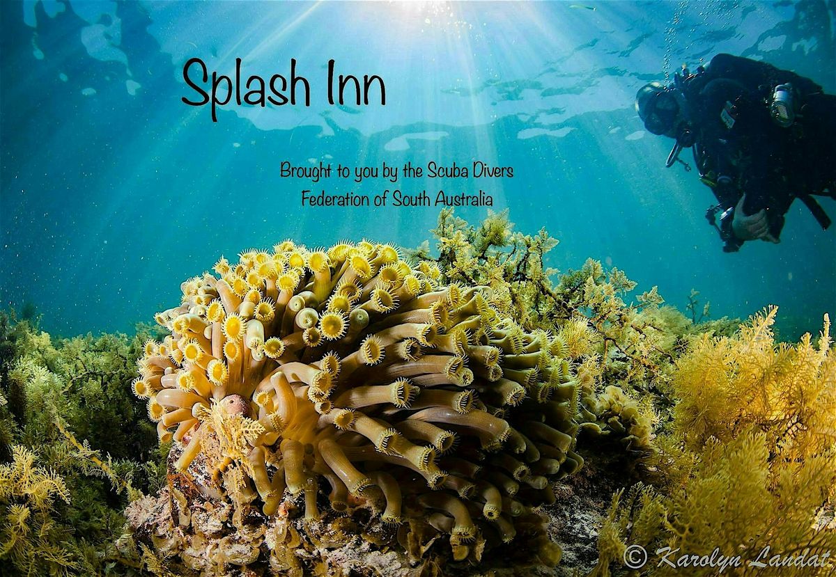 Splash Inn 006