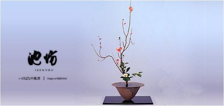 Invitation to Ikenobo Ikebana - Continuing Classes in Boulder CO (Dec)