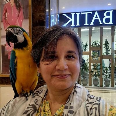 Shazia Naqib