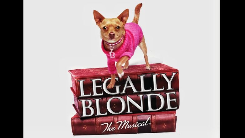 Legally Blonde - The Musical