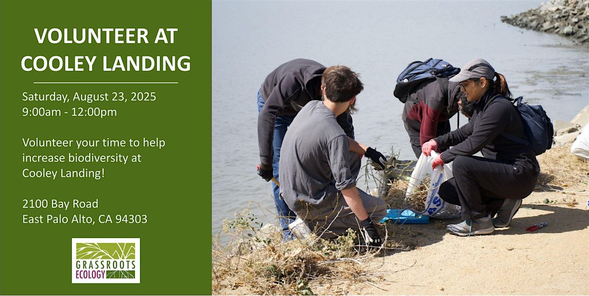 Volunteer Outdoors in East Palo Alto at Cooley Landing