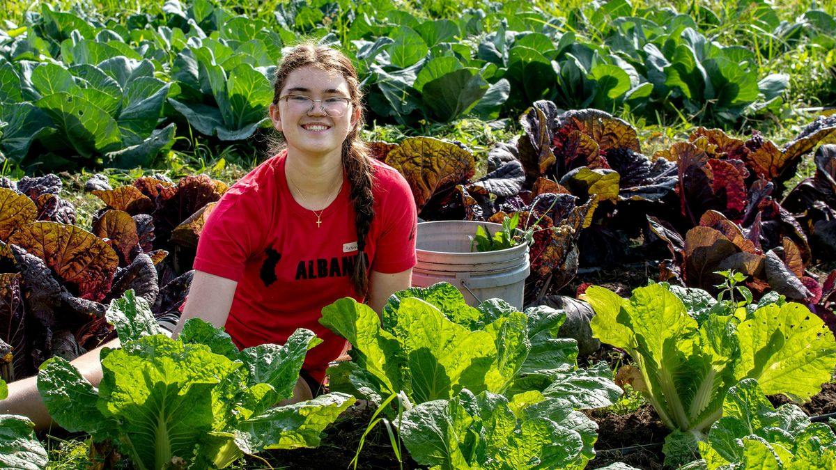 Volunteer at 21 Acres: Farm Stewardship