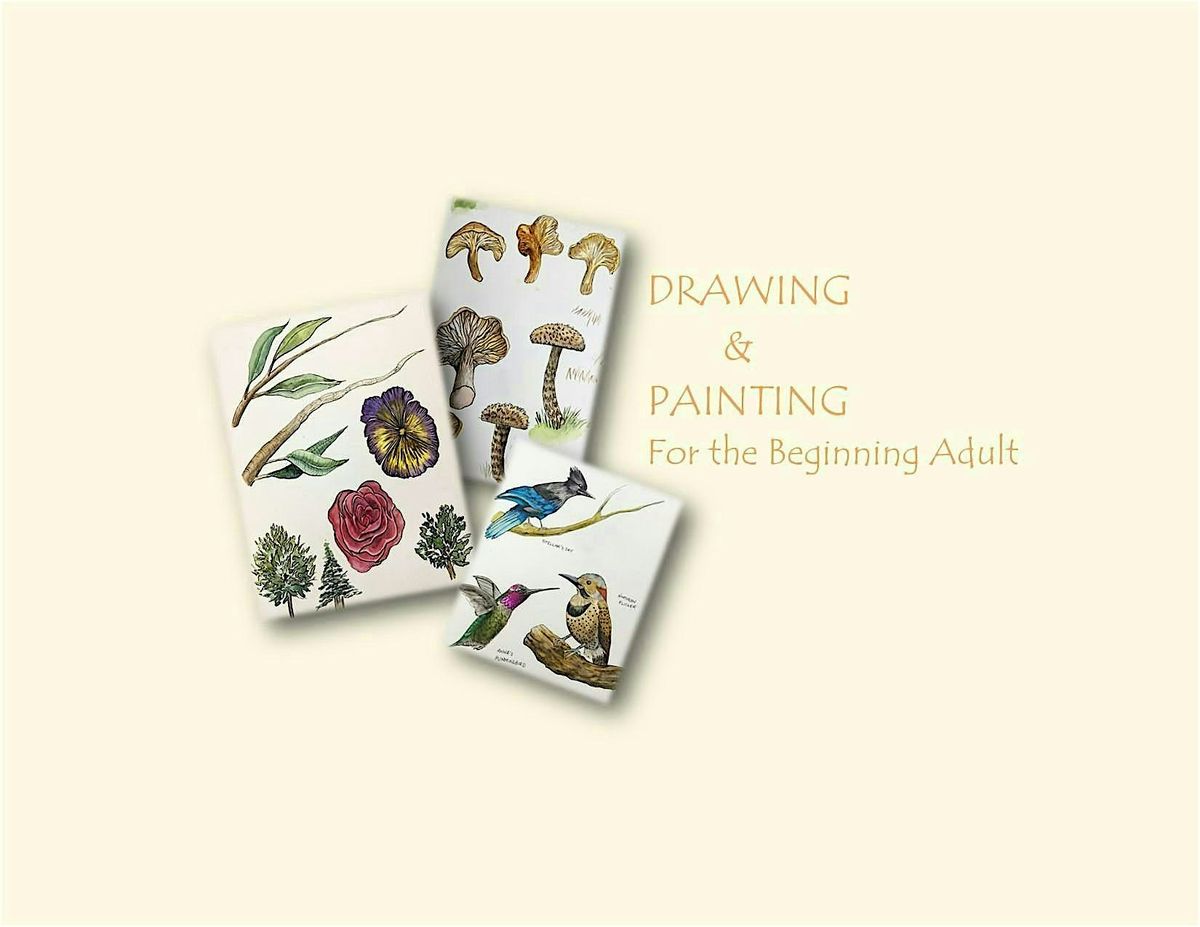 INTRO TO DRAWING AND PAINTING FOR THE ADULT BEGINNER