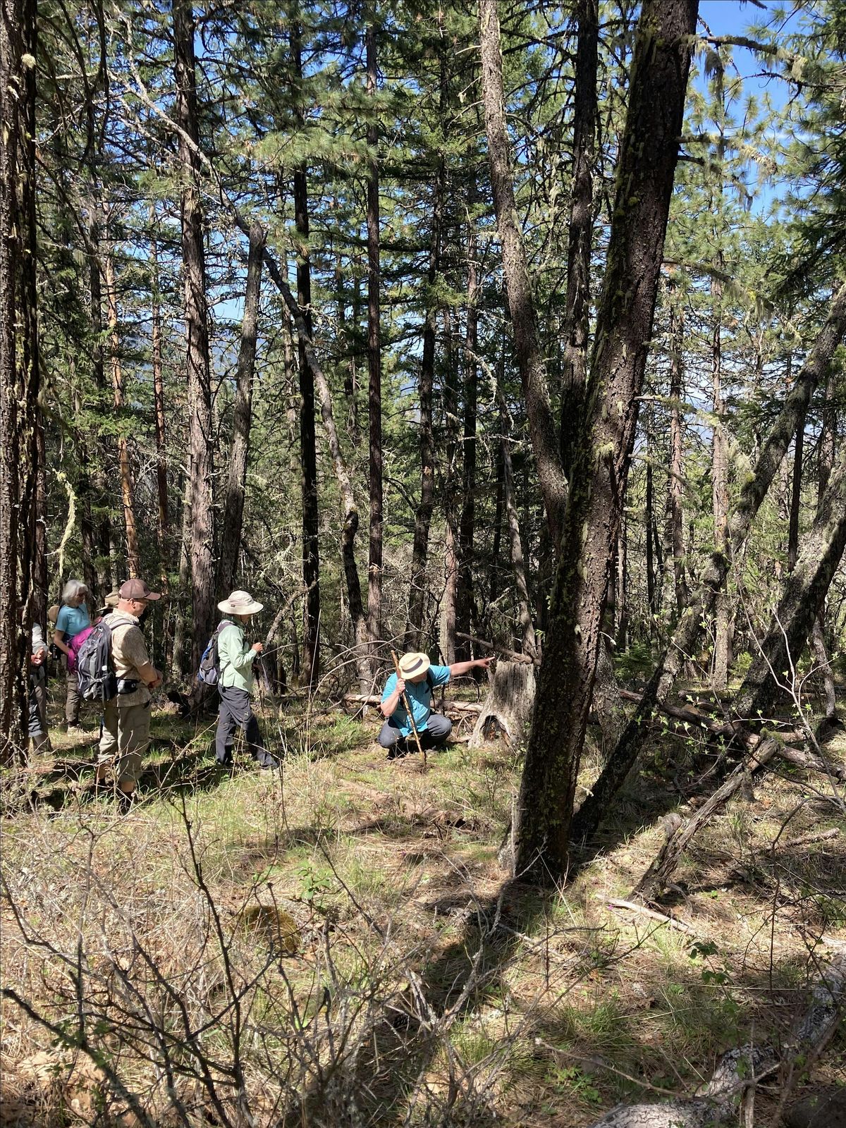 Saturday Hike - History and Ecology of Fire in the Monument