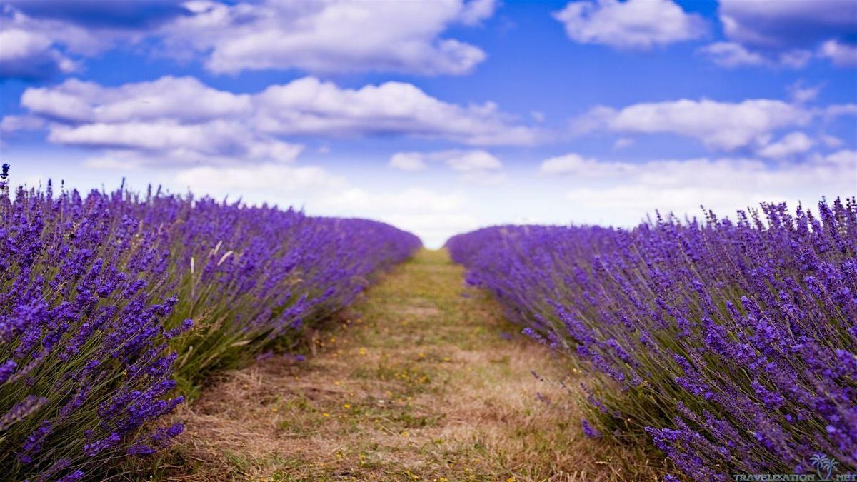 Self-Care as a Leadership Imperative: Leading from a Place of Wholeness