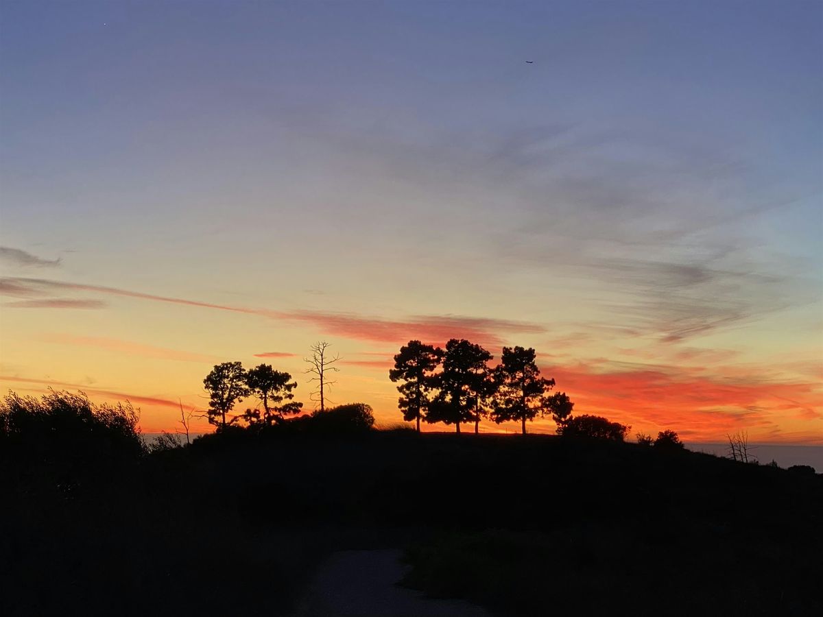 Nature, Our Original Teacher: A Half Day of Meditation on the Trail