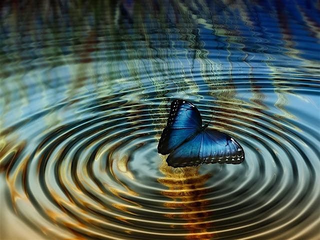 Tarot Transformations: Catalyzing Change