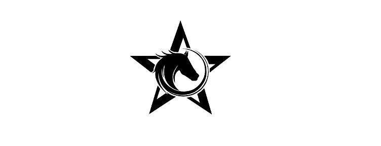 Starz Equestrian Center 2025 Fall Farm Fundraiser