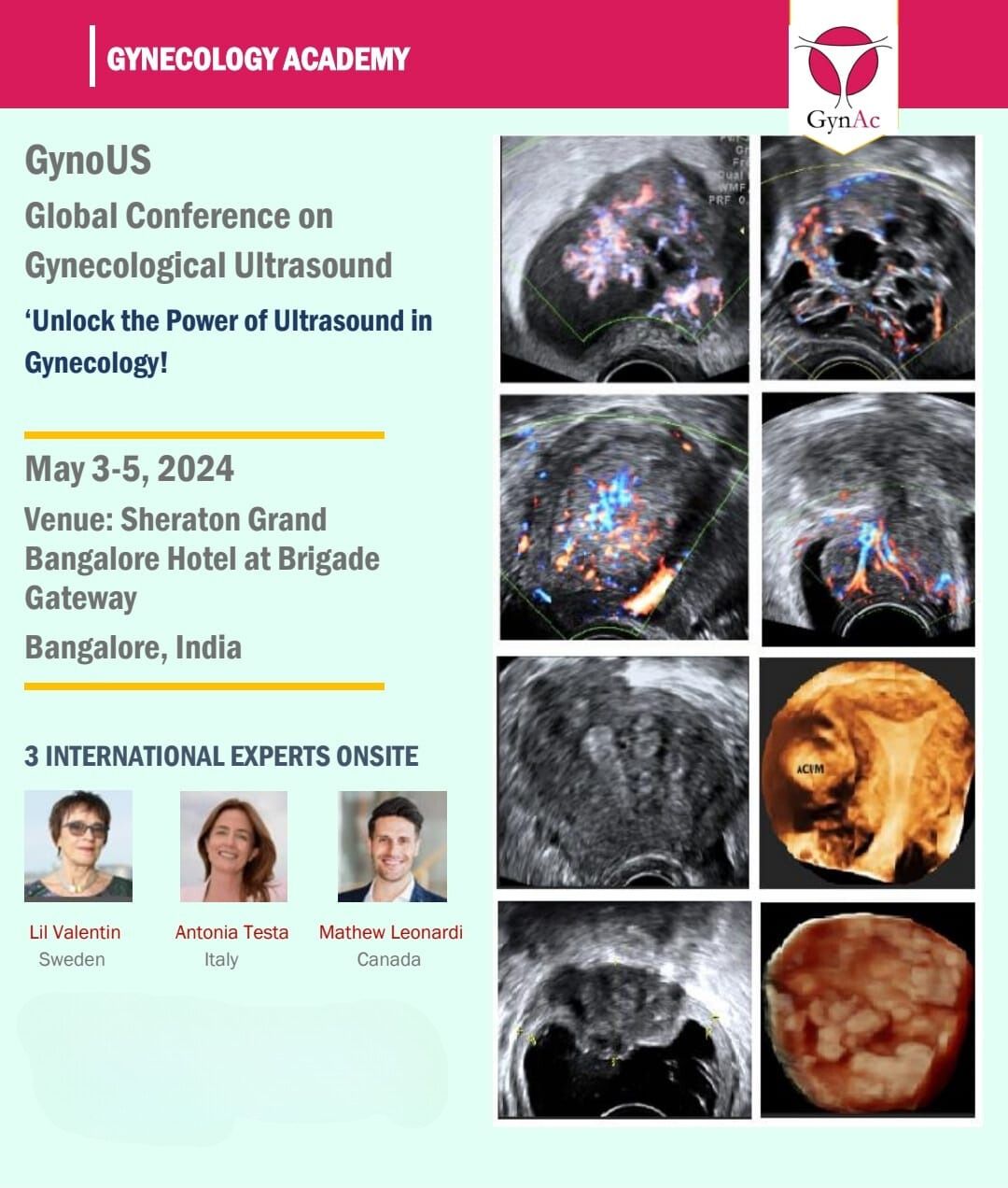 GynoUS - Global Conference on Gynecological Ultrasound
