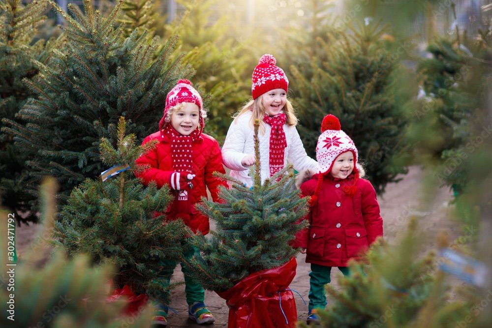 Besty B\u2019s Christmas Tree Farm U-Cut