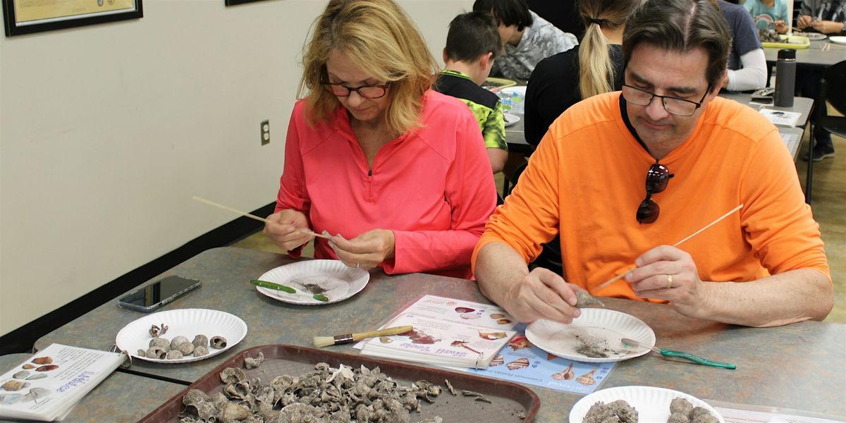 Volunteer Archaeology Lab