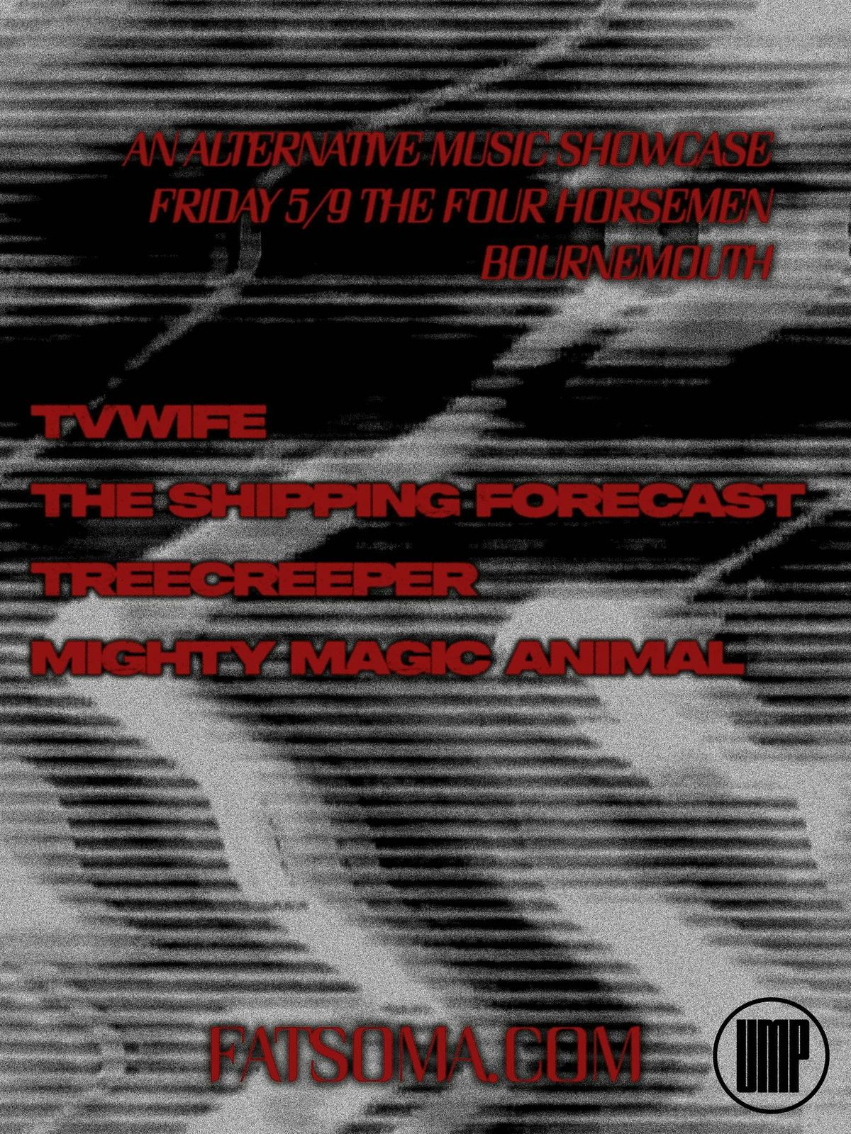 TVWife, The Shipping Forecast, Treecreeper, Mighty Magic Animal