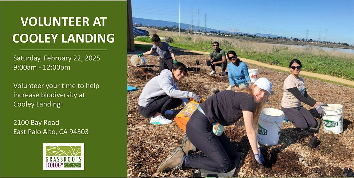 Volunteer Outdoors in East Palo Alto at Cooley Landing