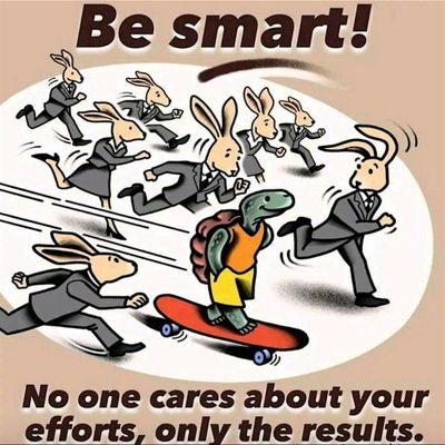 Rollbrettveranstaltungen - Skateboard Events