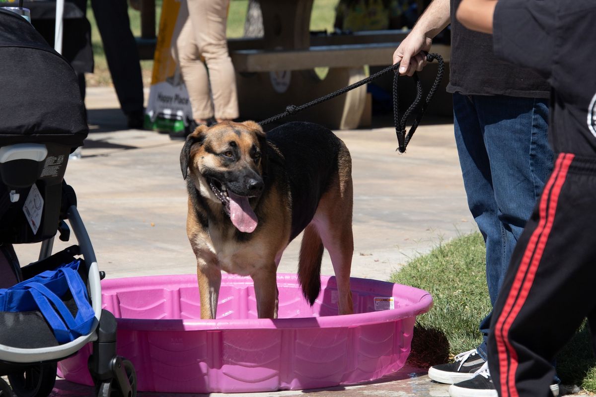 17th Annual Paws n' Claws Pet Fair