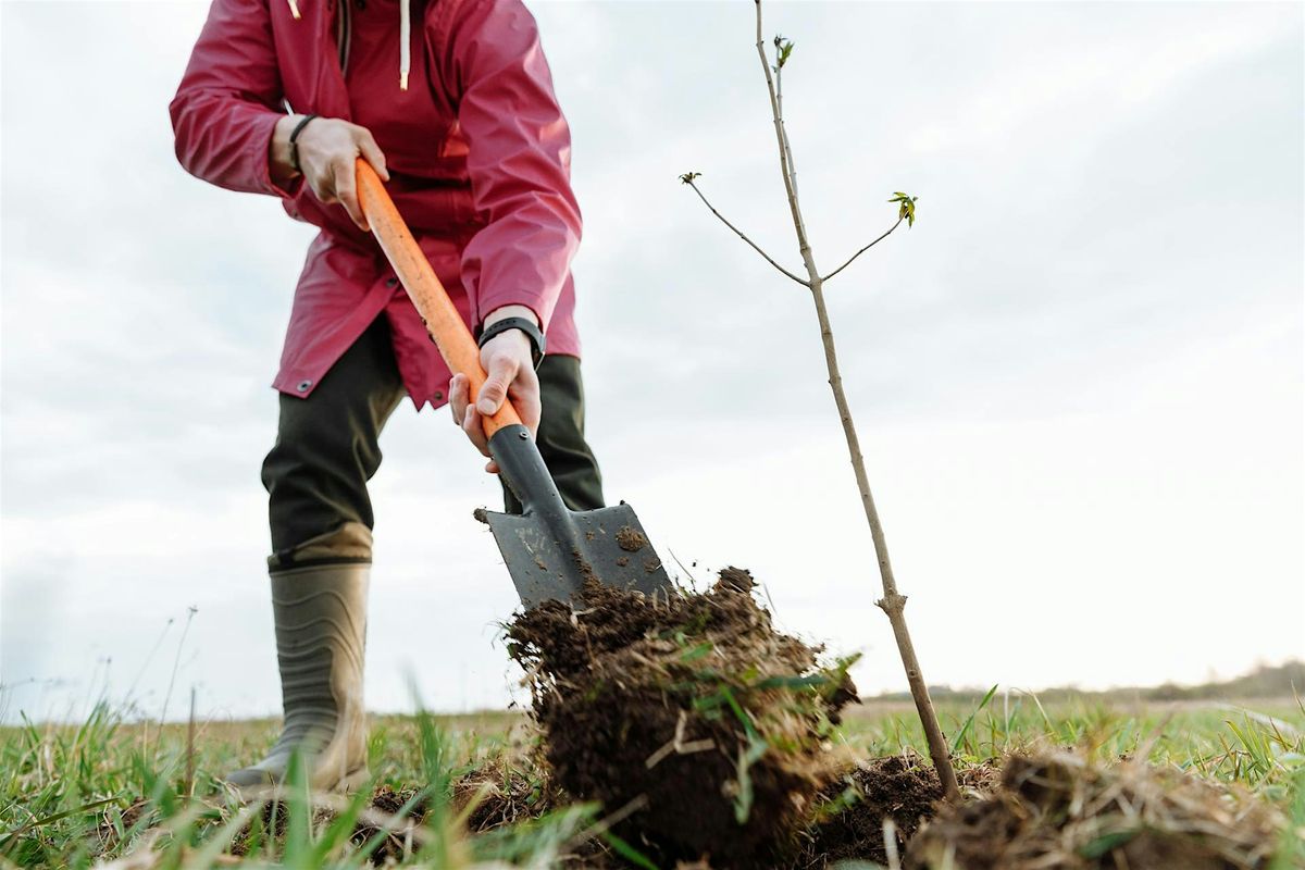 Helston Downs Tree Planting
