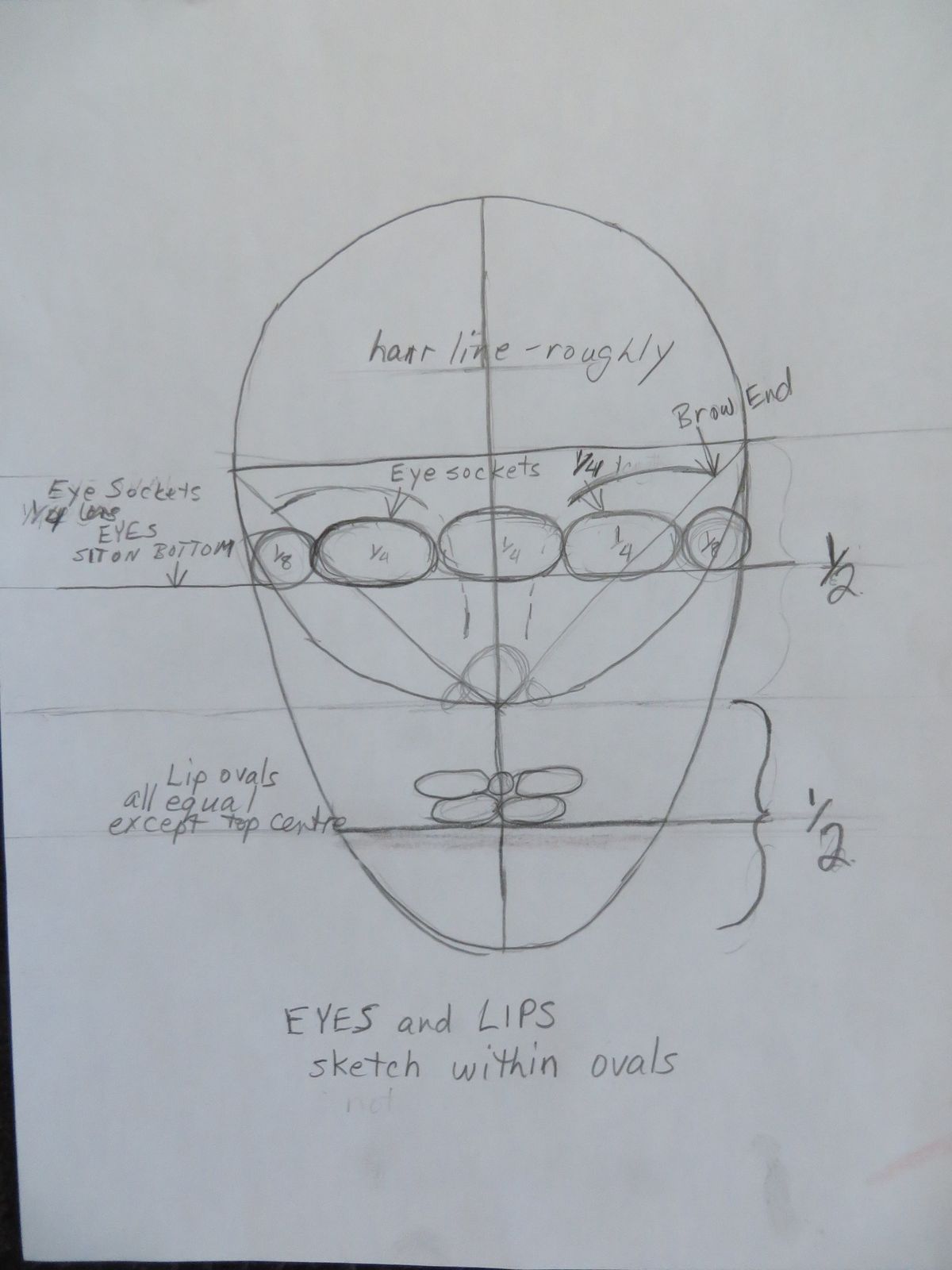 Mapping the Human Face ~ 6 Week Beginner Lesson